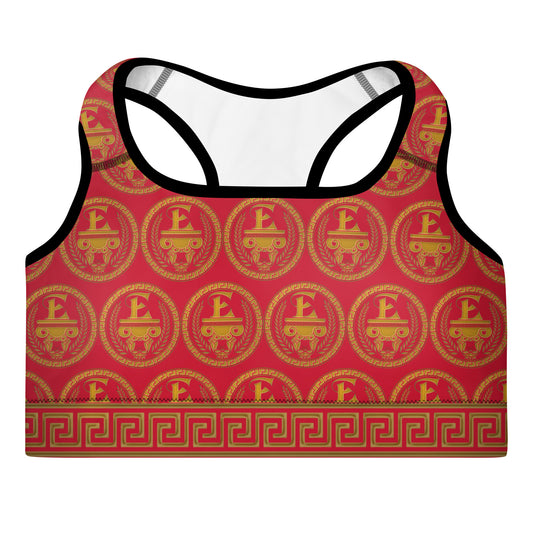 Estevez Padded Sports Bra