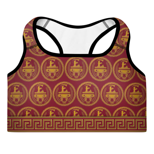 Estevez Padded Sports Bra