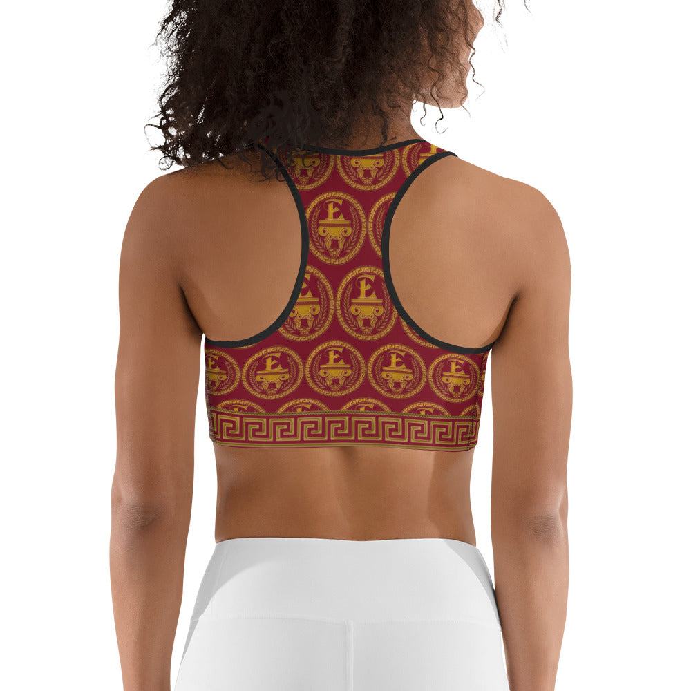 Estevez Sports bra