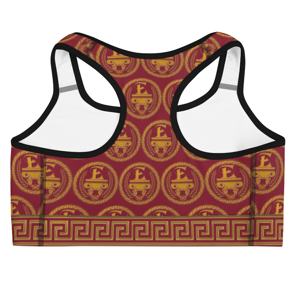 Estevez Sports bra
