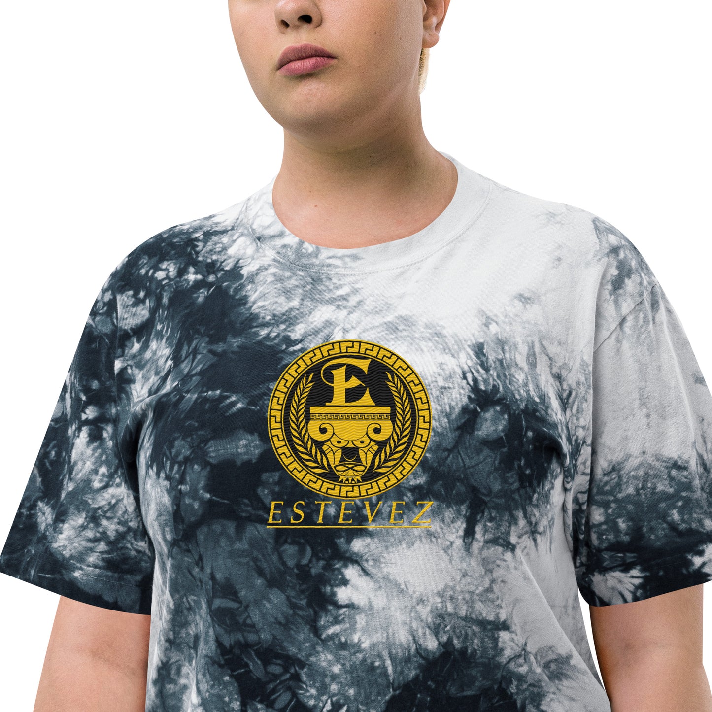 Estevez Logo Embroidery tie-dye t-shirt