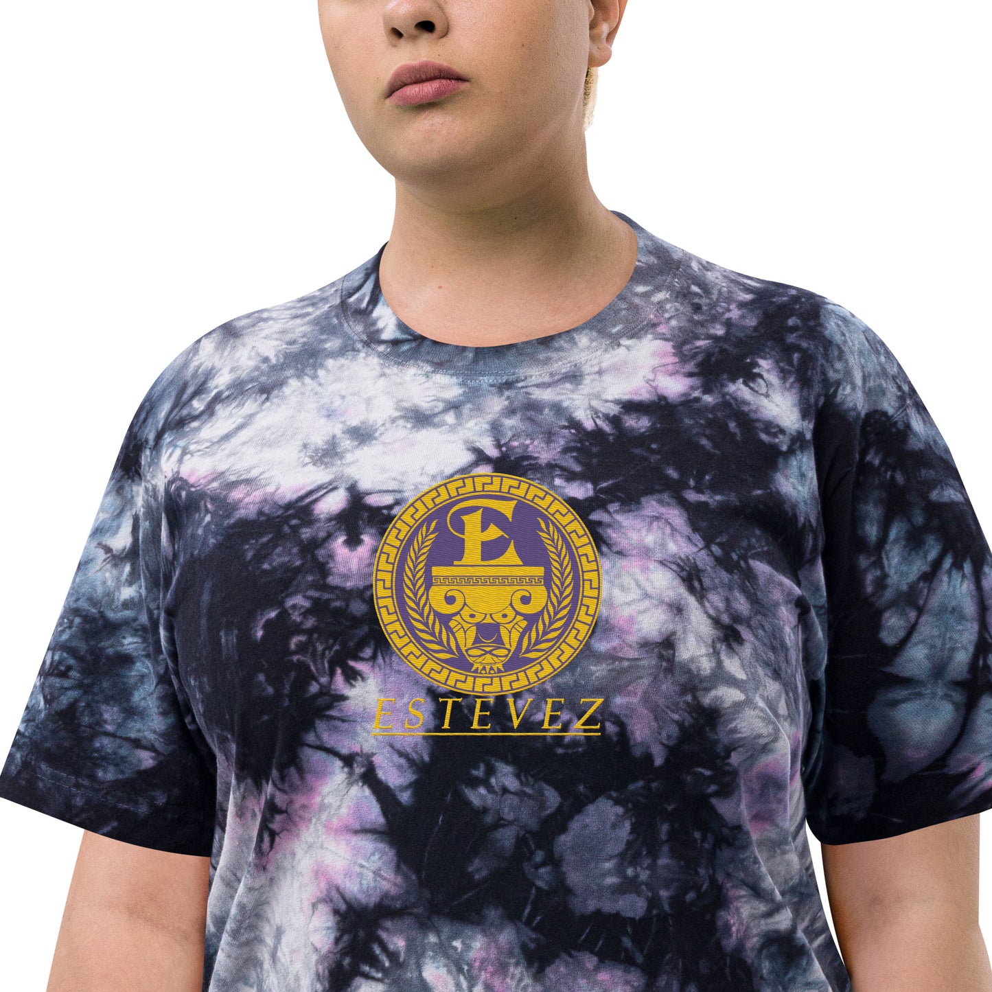 Estevez Logo Embroidery tie-dye t-shirt