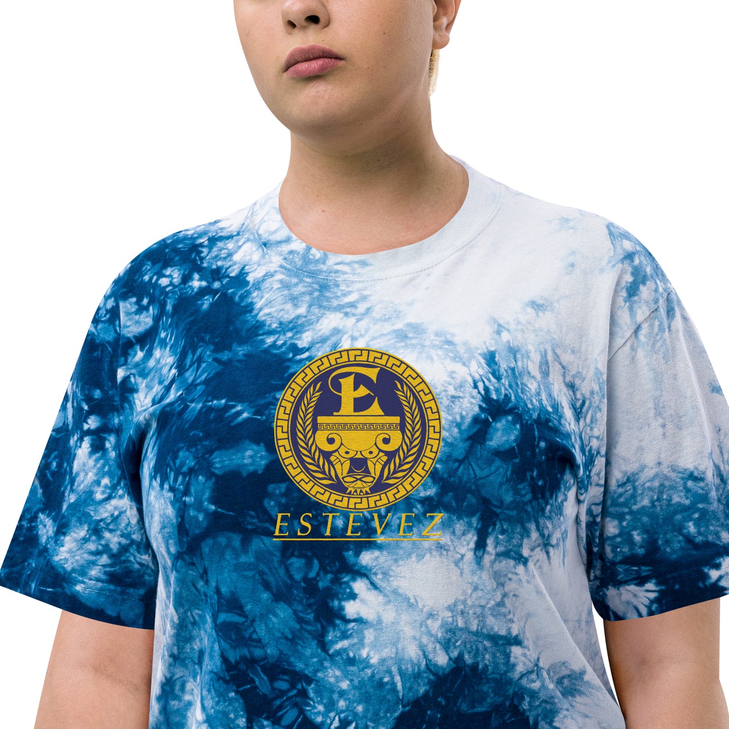 Estevez Logo Embroidery tie-dye t-shirt